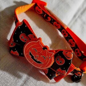 Thrills & Chills Reflective Pumpkin Cat Collar (8” - 12”)